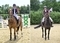 Danny Nicholson and Morgan Henderson Shine in the penultimate NAF Bronze and Silver Qualifiers 